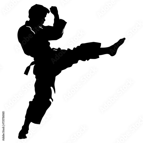 Silhouette tae kwon do or karate kick full body black color only photo