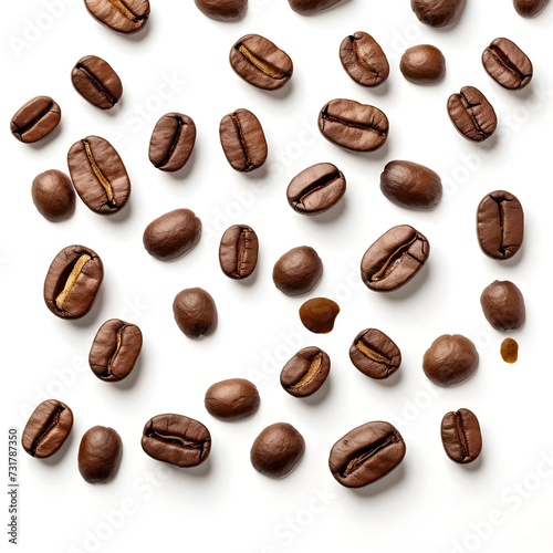 coffee bean isolated vegetables for food and drink