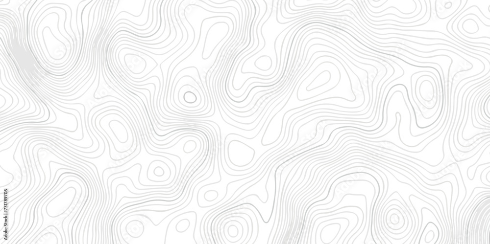 Abstract topography line wave paper curved reliefs background black and white, Background of the topographic line map. Topographic map patterns abstract white topography vector background.