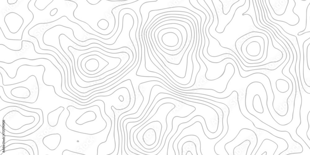 Abstract topography line wave paper curved reliefs background black and white, Background of the topographic line map. Topographic map patterns abstract white topography vector background. Abstract topography line wave paper curved reliefs background black and white, Background of the topographic line map. Topographic map patterns abstract white topography vector background.
