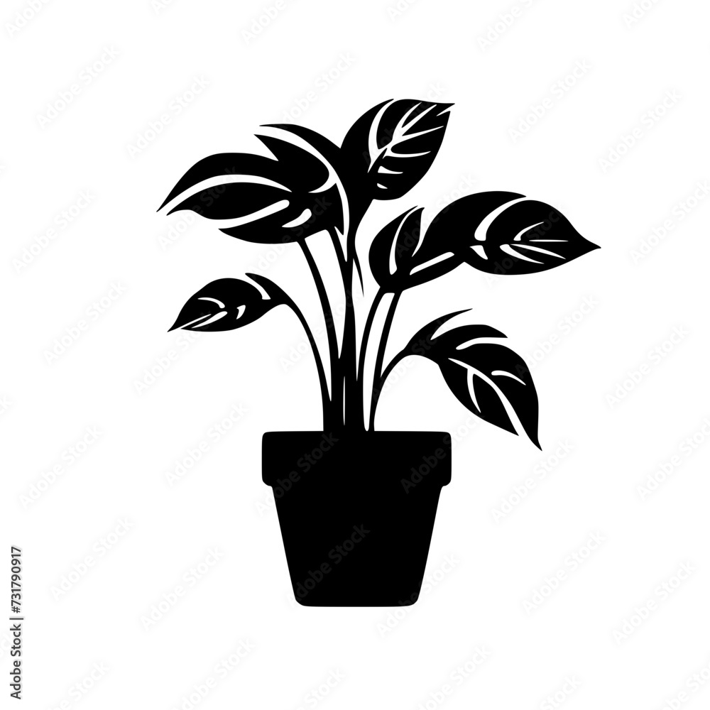 Rose Silhouette, Lily Silhouette, Sunflower Silhouette, Tulip Silhouette, Orchid Silhouette, Daisy Silhouette, Peony Silhouette, Daffodil Silhouette, Marigold Silhouette, Hydrangea Silhouette, Snapdra Rose Silhouette, Lily Silhouette, Sunflower Silhouette, Tulip Silhouette, Orchid Silhouette, Daisy Silhouette, Peony Silhouette, Daffodil Silhouette, Marigold Silhouette, Hydrangea Silhouette, Snapdra