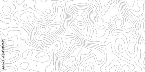 Abstract topography line wave paper curved reliefs background black and white, Background of the topographic line map. Topographic map patterns abstract white topography vector background. © armans
