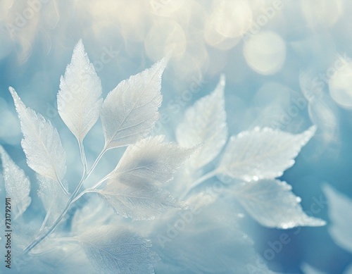 Pale bright background with silver leaves covered with frost. Bokeh light, copyspace. © Kati Lenart