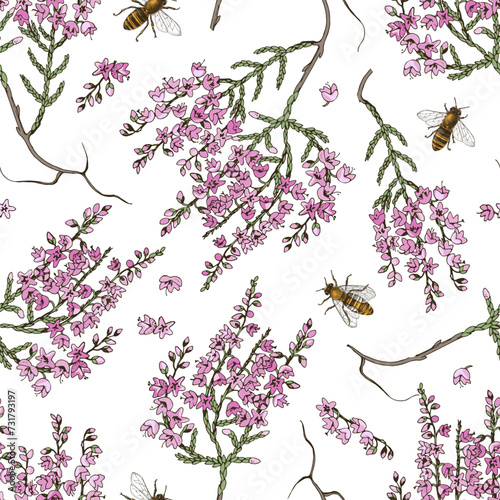 Seamless pattern with blooming heather and bees