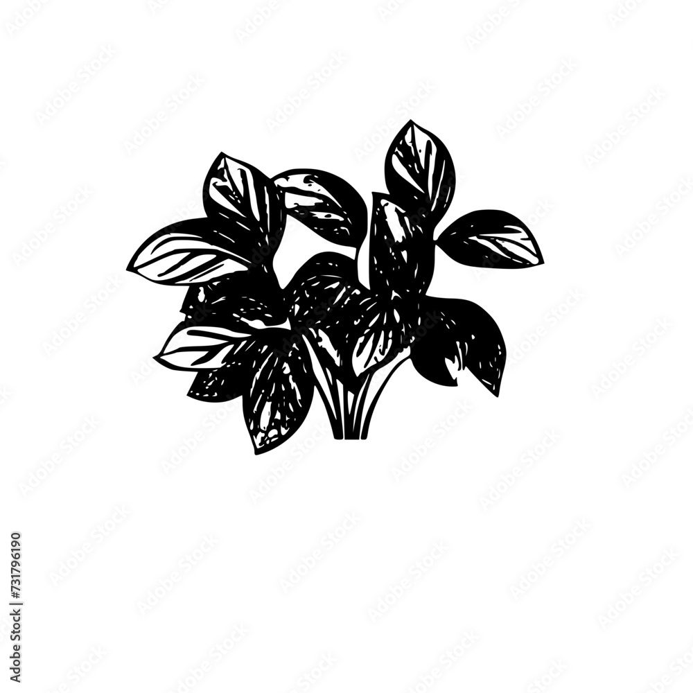 Silhouette rose, rose vector, flower svg, vector flower, herb, branch, line art, outline, eps, png, svg, flower, floral, vector, nature, leaf, rose, illustration, plant, design, vintage, pattern, flow Silhouette rose, rose vector, flower svg, vector flower, herb, branch, line art, outline, eps, png, svg, flower, floral, vector, nature, leaf, rose, illustration, plant, design, vintage, pattern, flow