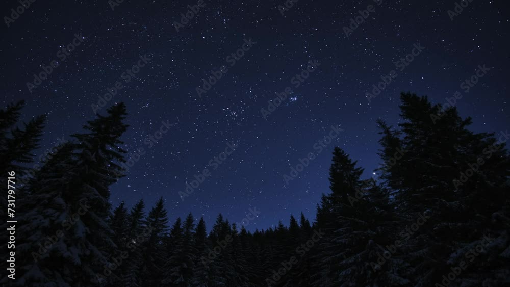 Midnight landscape with starry sky, tree silhouette, and astronomical objects. Midnight landscape with starry sky, tree silhouette, and astronomical objects.