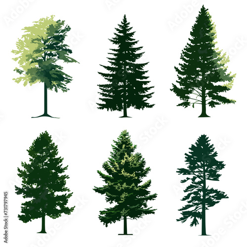 set of trees, flat vector elevation © Weronika