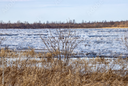 A landscape of an ice drift (ice-boom, debacle) on the northern river, flood plain forest. Rivers of the Lake Ladoga basin, Northeast Europe