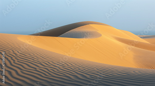 Sand dunes rippling in the wind  subtle patterns and textures visible  desert landscape