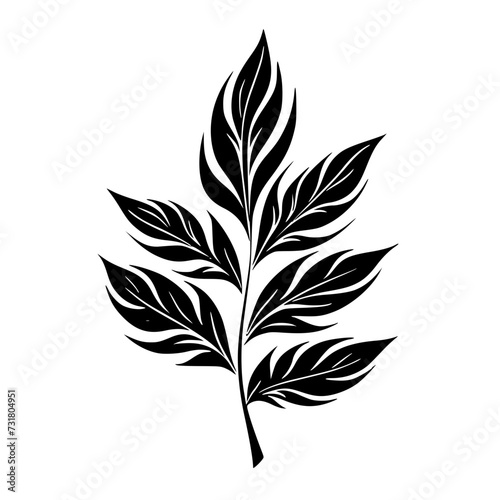  leaf vector, herb silhouette, silhouette plant, silhouette flower, silhouette floral, plantpot, leaf, tree, plant, nature, vector, bamboo, pattern, branch, silhouette, floral, flower, design, © vector