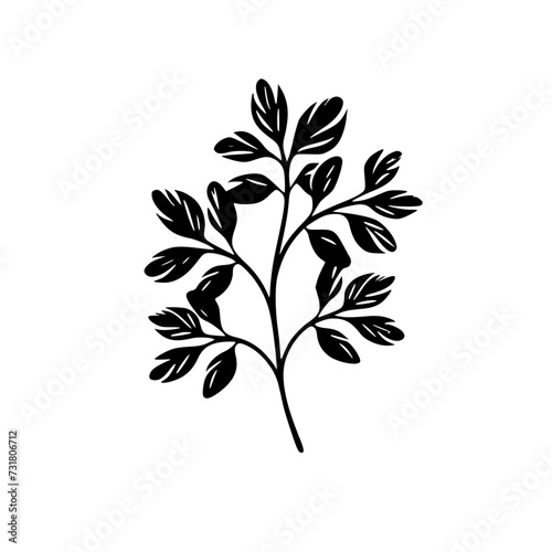 Fototapeta Naklejka Na Ścianę i Meble -   leaf vector, herb silhouette, silhouette plant, silhouette flower, silhouette floral, plantpot, leaf, tree, plant, nature, vector, bamboo, pattern, branch, silhouette, floral, flower, design,