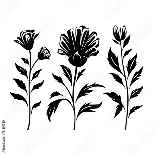  leaf vector  herb silhouette  silhouette plant  silhouette flower  silhouette floral  plantpot  leaf  tree  plant  nature  vector  bamboo  pattern  branch  silhouette  floral  flower  design  illustr