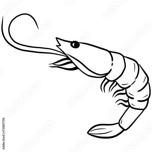 Shrimp line drawing 