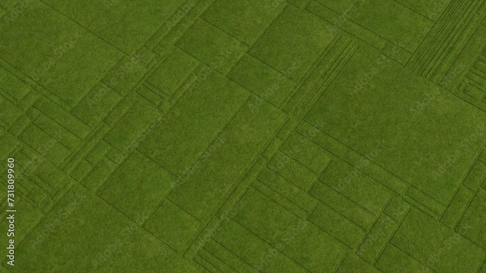 abstract top view on fields with green grass texture abstract top view on fields with green grass texture
