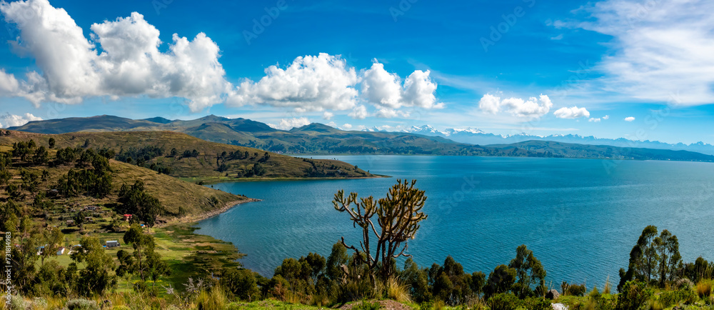 The shores of the Titicaca Lake with the  mountains of the Cordillera Real in the background, Bolivia