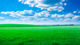 meadow, grassland, landscape,agriculture,lawn, field,  sky, cloud,  flower, nature, spring,Background image of a vast green field under a bright blue sky. bright green grass Receives light well The ba