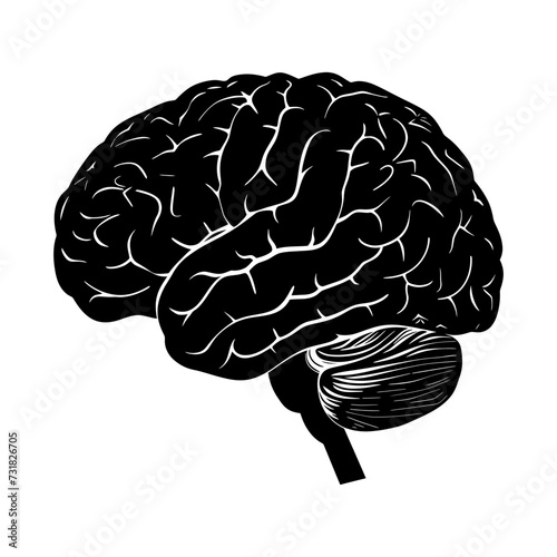 Silhouette for internal organs of brain black color only