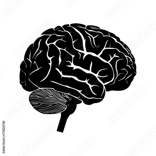 Silhouette for internal organs of brain black color only