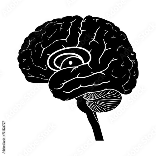 Silhouette for internal organs of brain black color only
