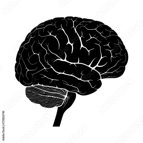 Silhouette for internal organs of brain black color only