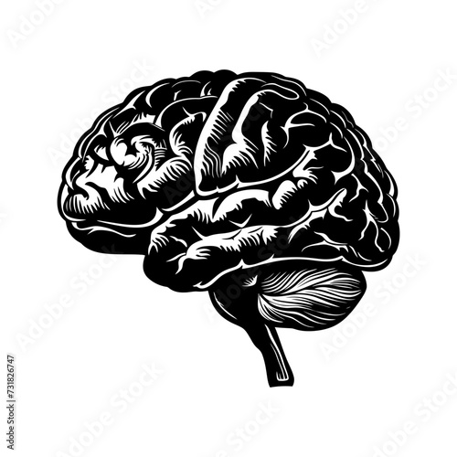 Silhouette for internal organs of brain black color only