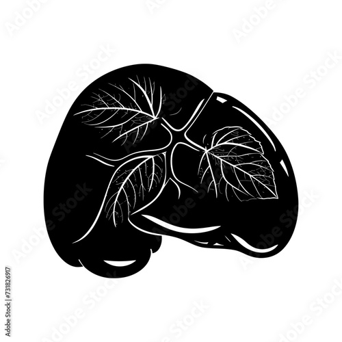 Silhouette for internal organs of liver black color only