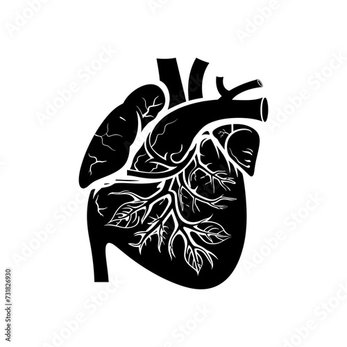 Silhouette for internal organs of liver black color only