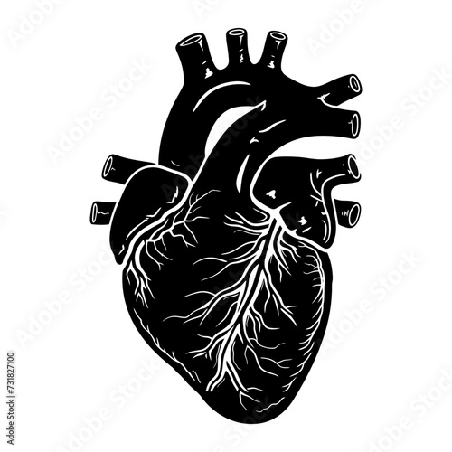 Silhouette for internal organs of the heart black color only