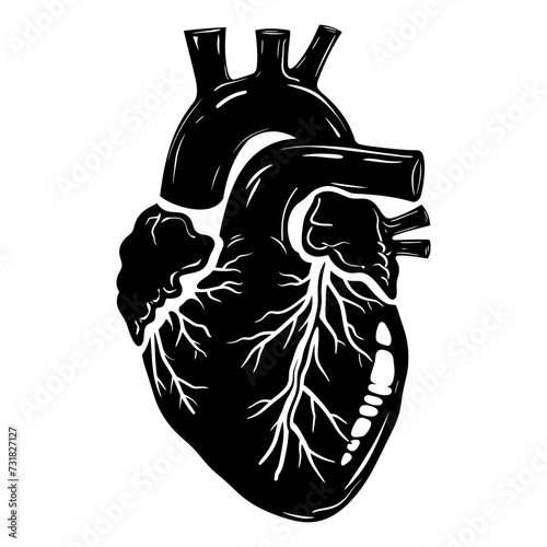 Silhouette for internal organs of the heart black color only