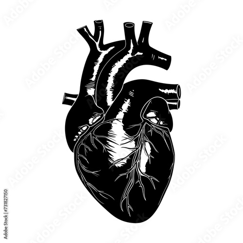 Silhouette for internal organs of the heart black color only