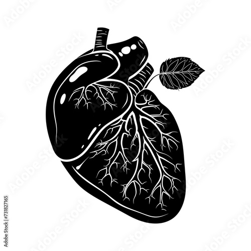 Silhouette for internal organs of the liver black color only
