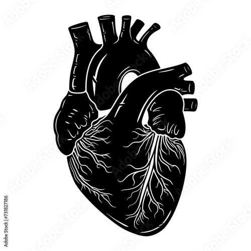 Silhouette for internal organs of the heart black color only