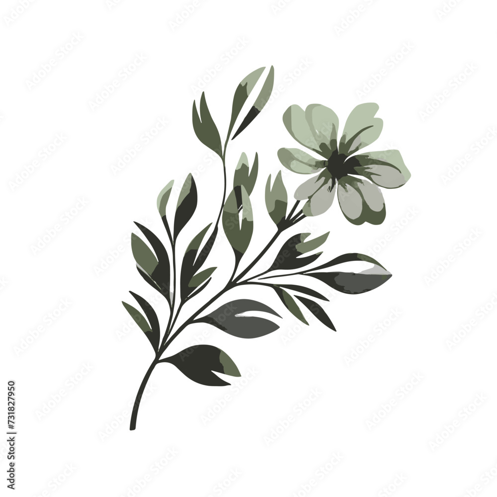 botanical svg, floral svg, flower svg, botanical clipart, floral clipart, flower clipart, wildflower svg, plant svg, floral bundle svg, line art svg, floral line art svg, Plants svg file, 