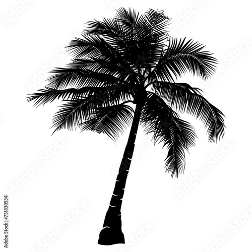Silhouette coconut tree black color only