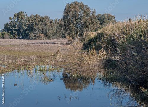 View of the Big Winter Pool after heavy rains in January 2024, Herzliya Park, Herzliya city, Israel   photo