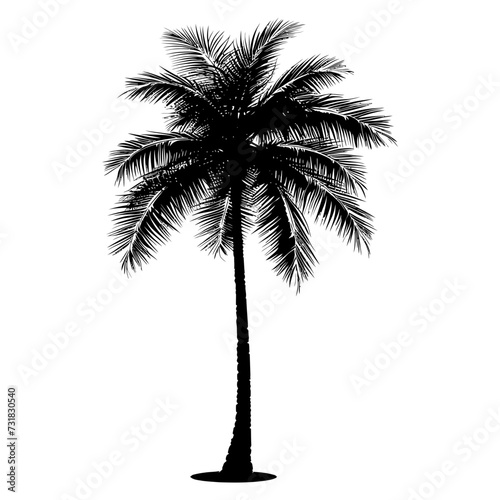 Silhouette coconut tree black color only