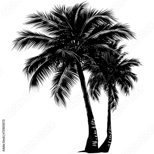 Silhouette coconut tree black color only