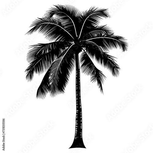 Silhouette coconut tree black color only