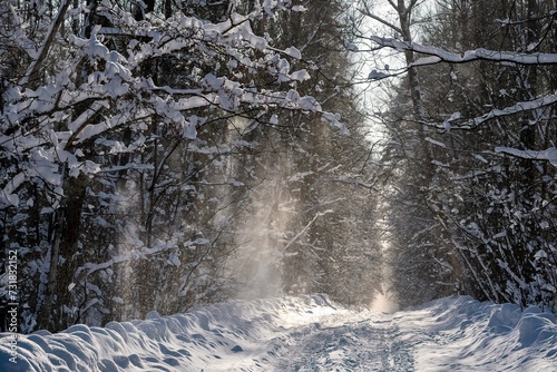 winter snow road in forest with falling snow from trees branches in sun light