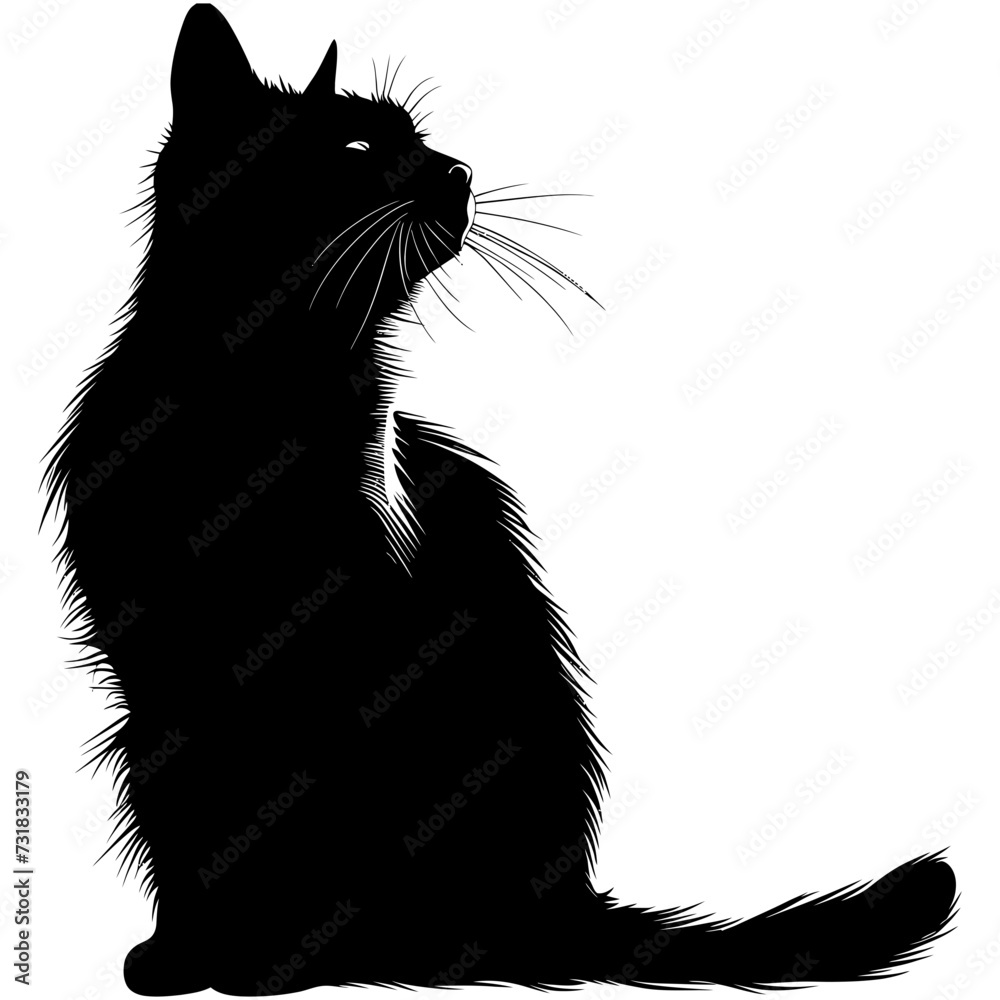 Silhouette cute cat full body black color only