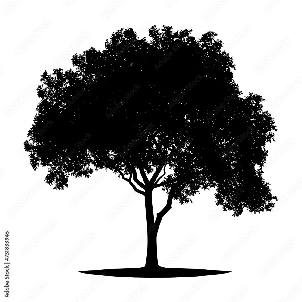 Fototapeta premium Silhouette tree nature black color only
