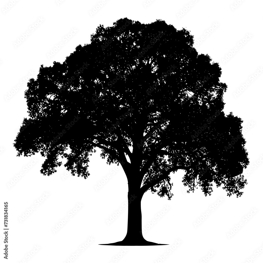Fototapeta premium Silhouette tree nature black color only