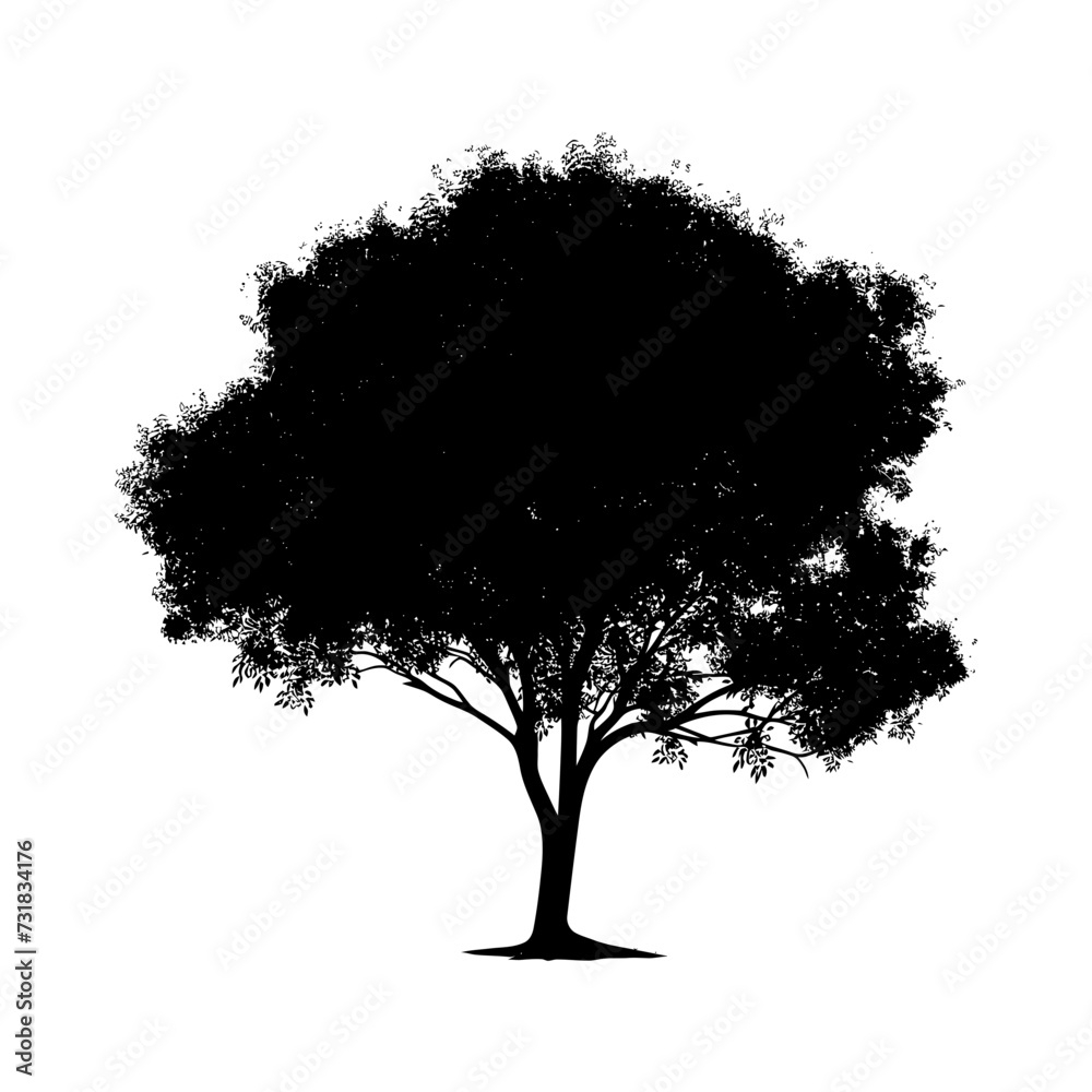Fototapeta premium Silhouette tree nature black color only