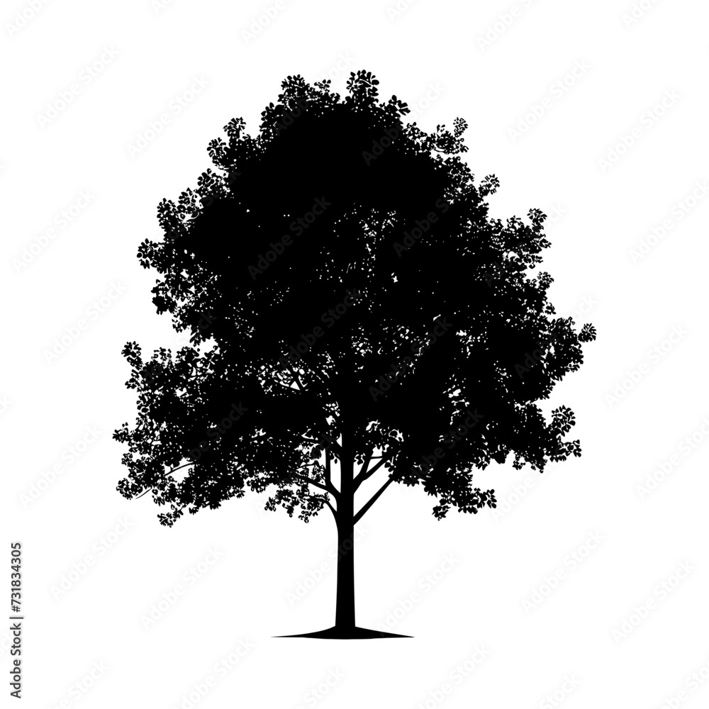 Fototapeta premium Silhouette tree nature black color only