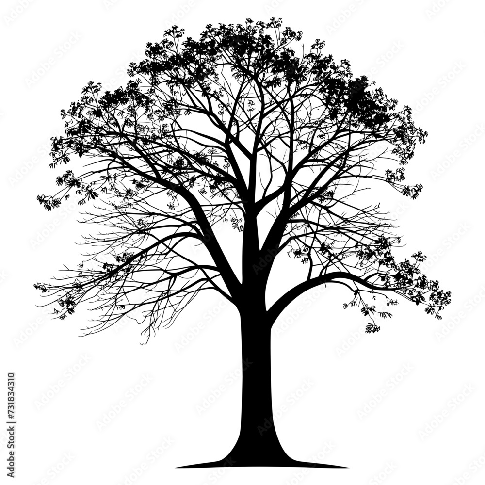 Obraz premium Silhouette tree nature black color only
