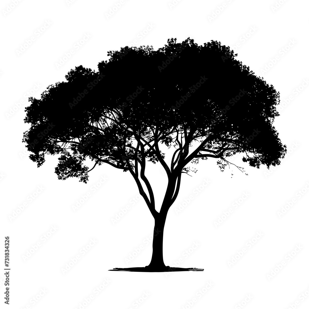 Fototapeta premium Silhouette tree nature black color only