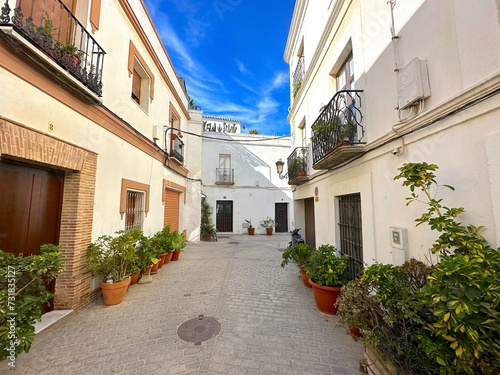 street in the old town of Tarifa with typical white Andalusian houses and plants  Costa de la Luz  Andalusia  province of C  diz  Spain