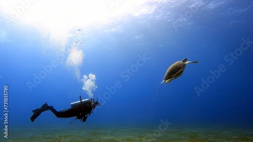 Scuba diver in full gear swimming underwater in a tropical ocean habitat chasing turtles photo