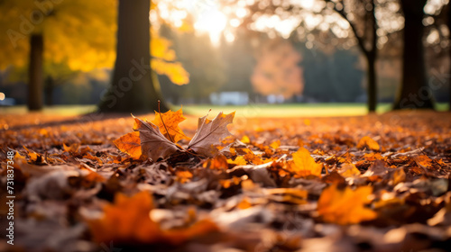 autumn leaves blanketing the ground in the park, seasonal greetings 