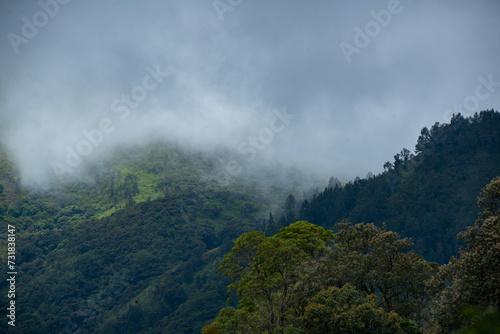 Mount lawu on foggy weather, showing layers of mountain highland in east java Indonesia 